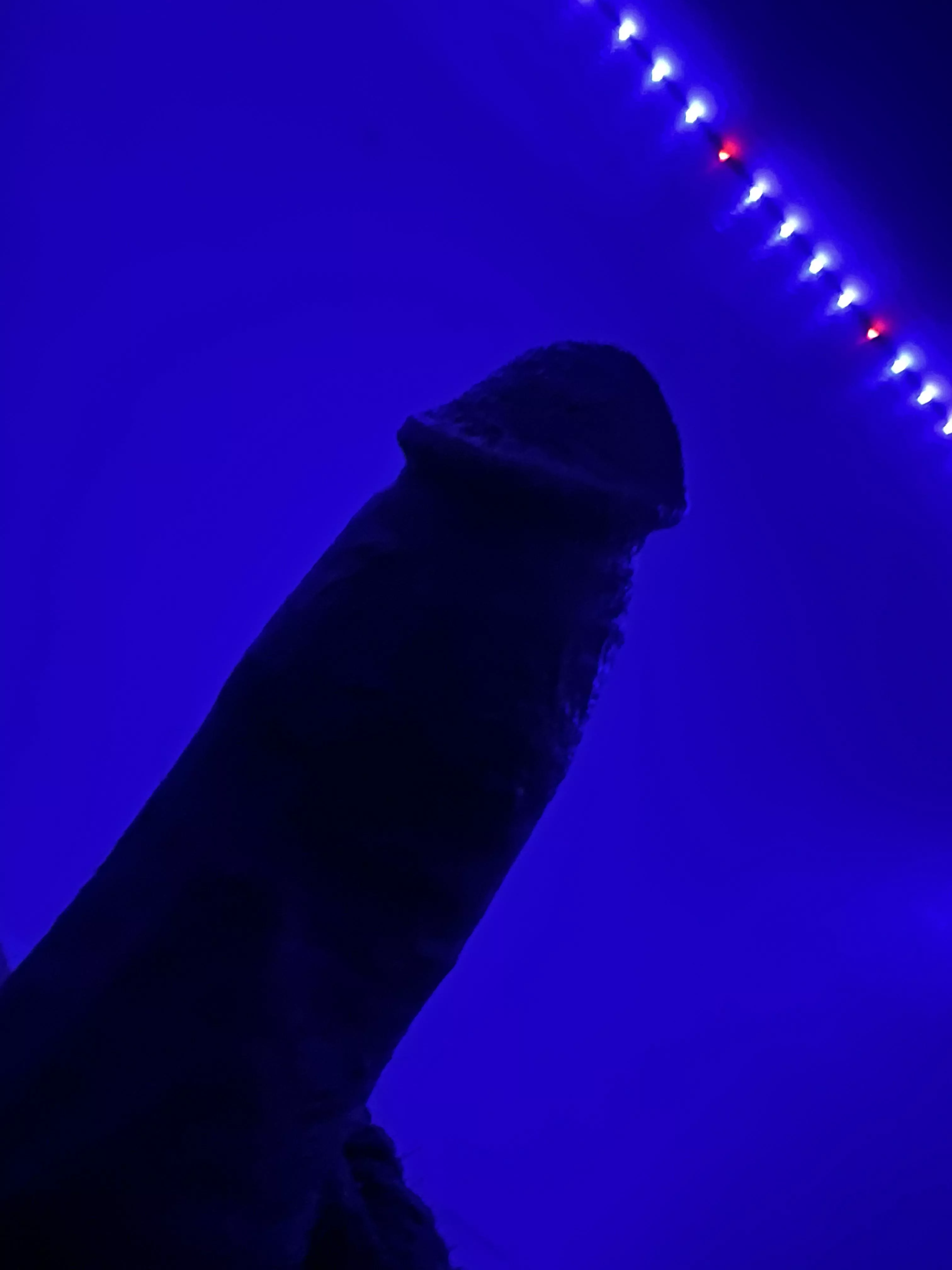 Looking good under the lights posted by Fickle_Mountain_8380