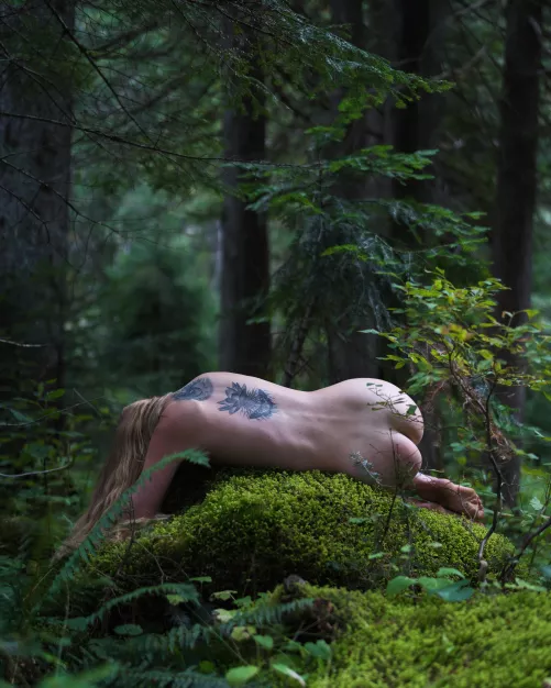 Moss bed by IceLotus444