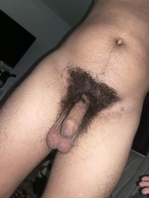 My dense shrub for you by Western-Ad-7803