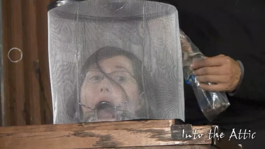 Naomi by Redditposterize