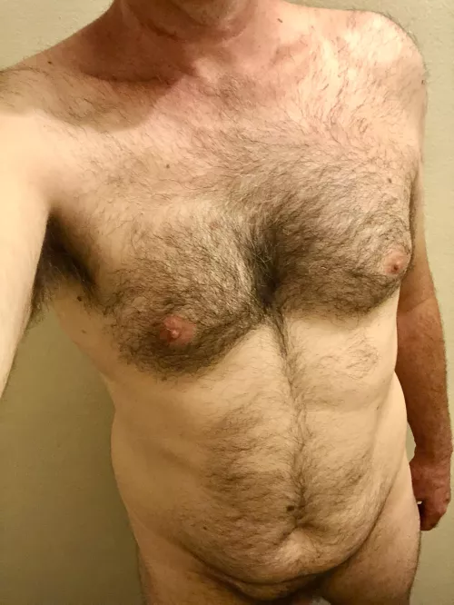 Older Aussie fur haven’t shaved in ages by metalroots