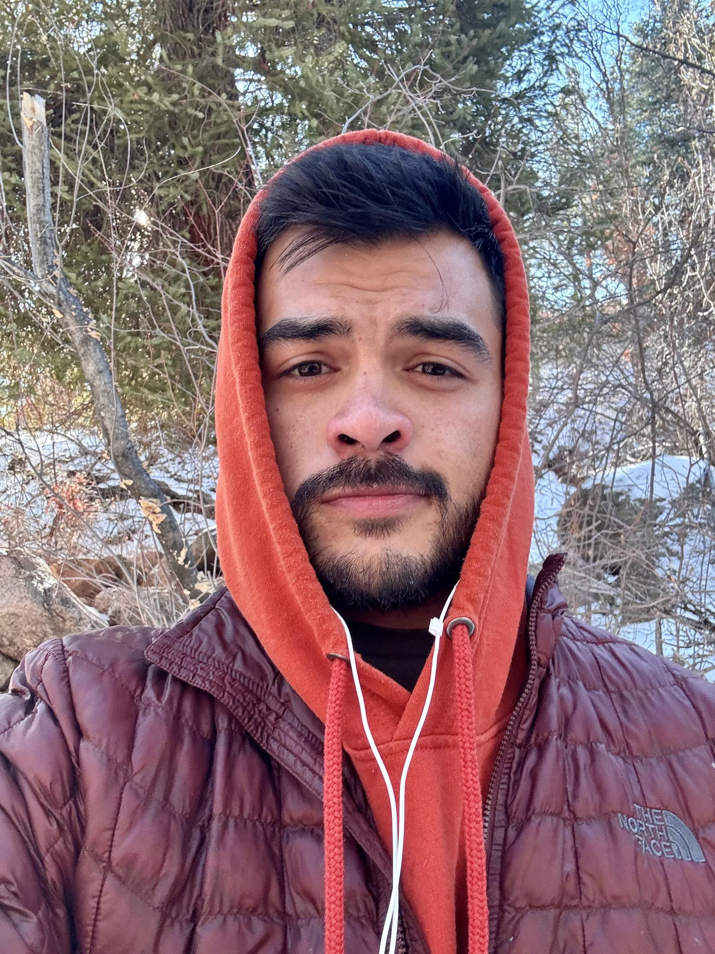 Snow’d out and no one to cuddle posted by MikeA95