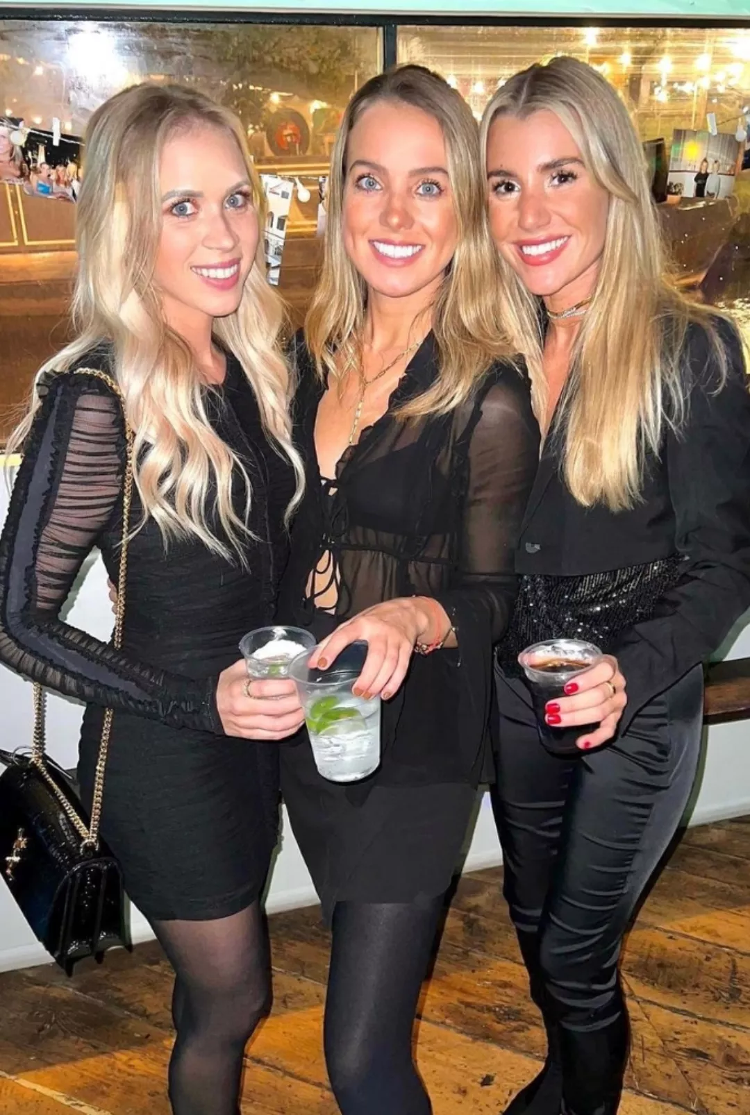 So many blondes, so little time  posted by admirer1234