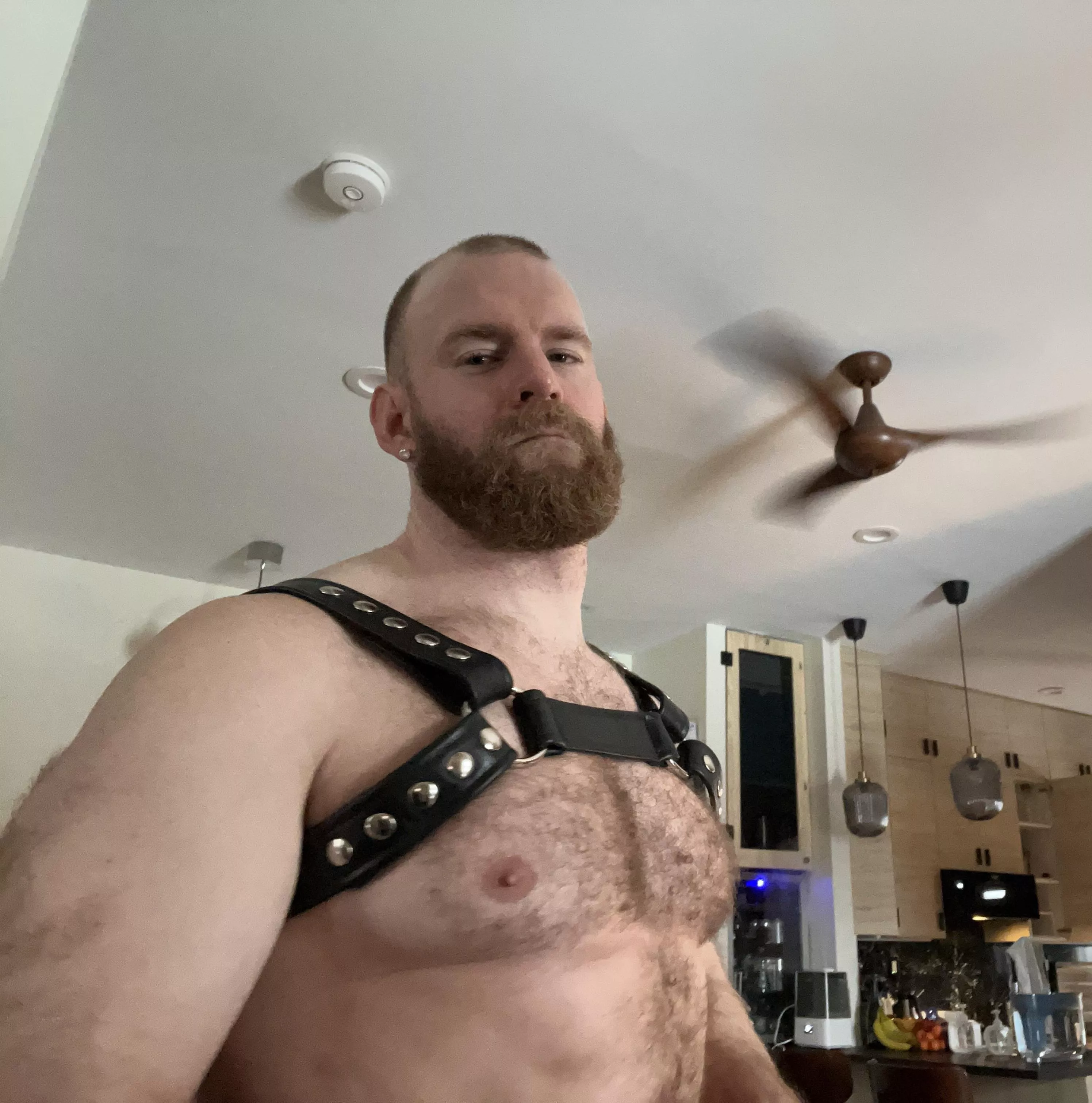 Strapped in posted by cornfed405