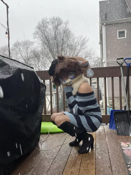 The snow looks so pretty by BluPointA