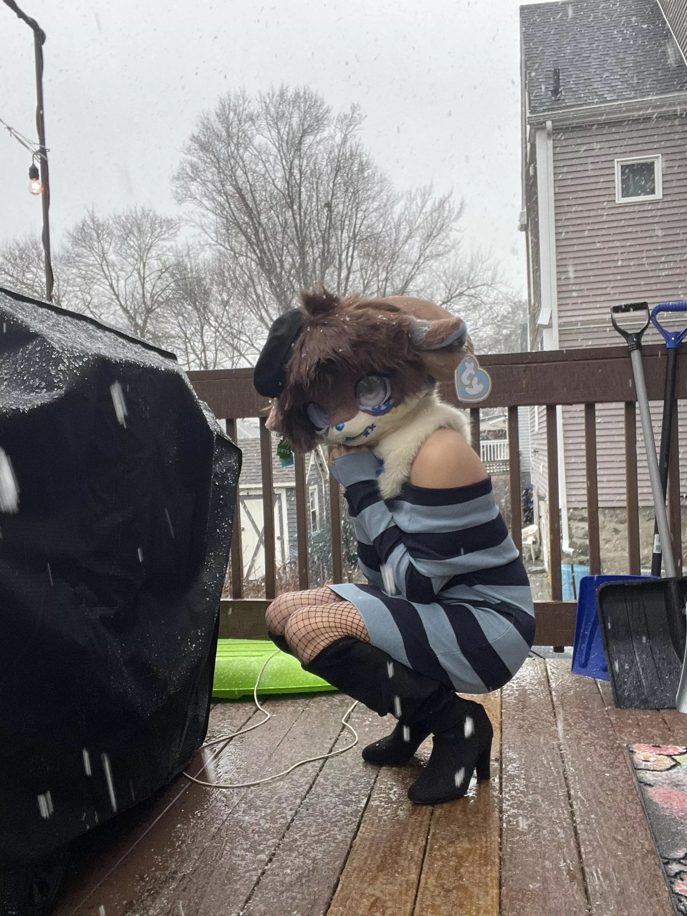 The snow looks so pretty posted by BluPointA