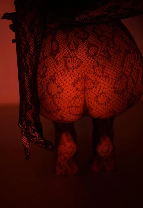 This wild cat will show you what passion is by GooeyRitz42