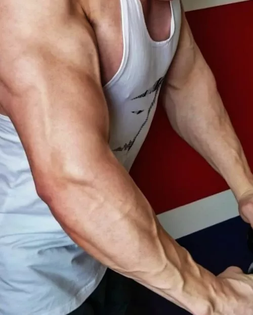 V E I N S 💪🏼😈🔥 by John_fitness91