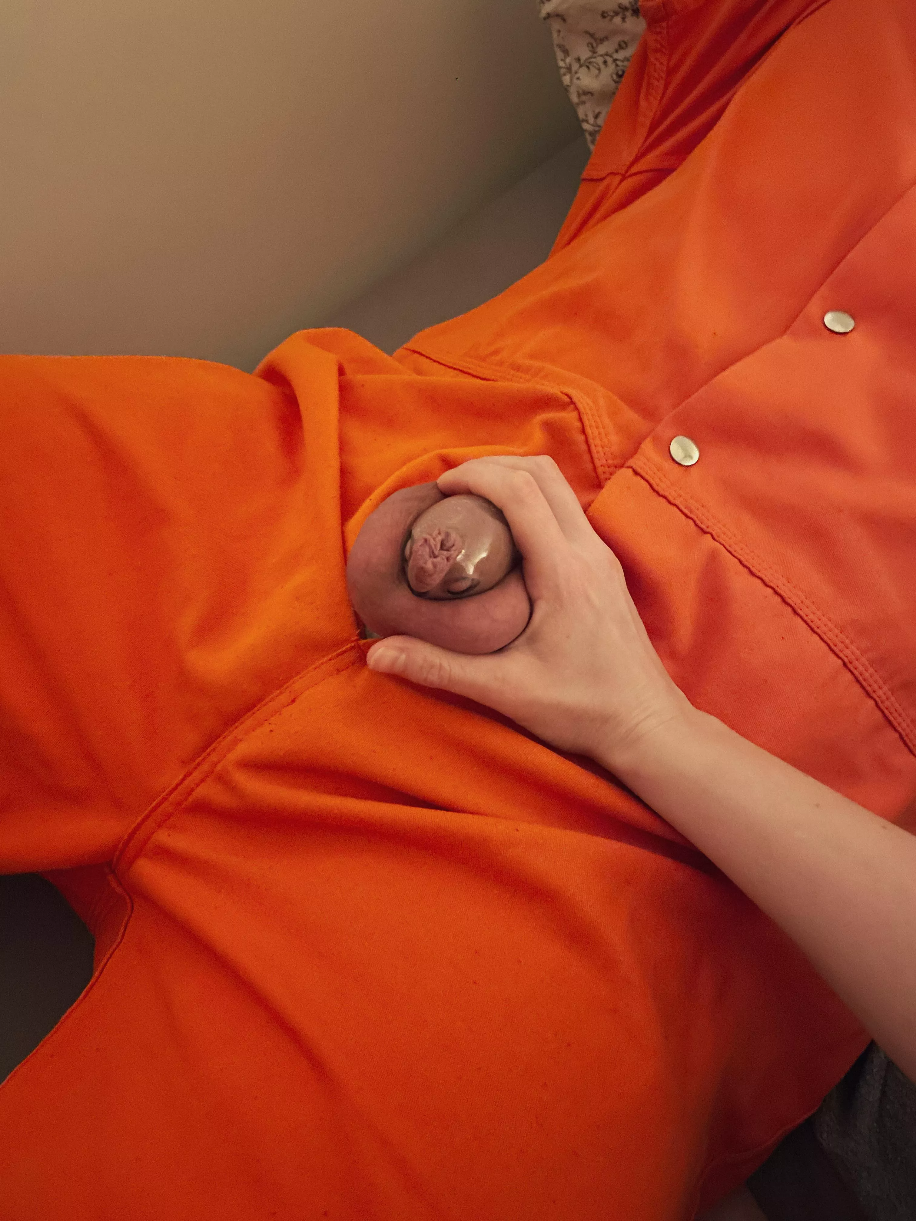 Well kept 🔒 posted by Desmoterion