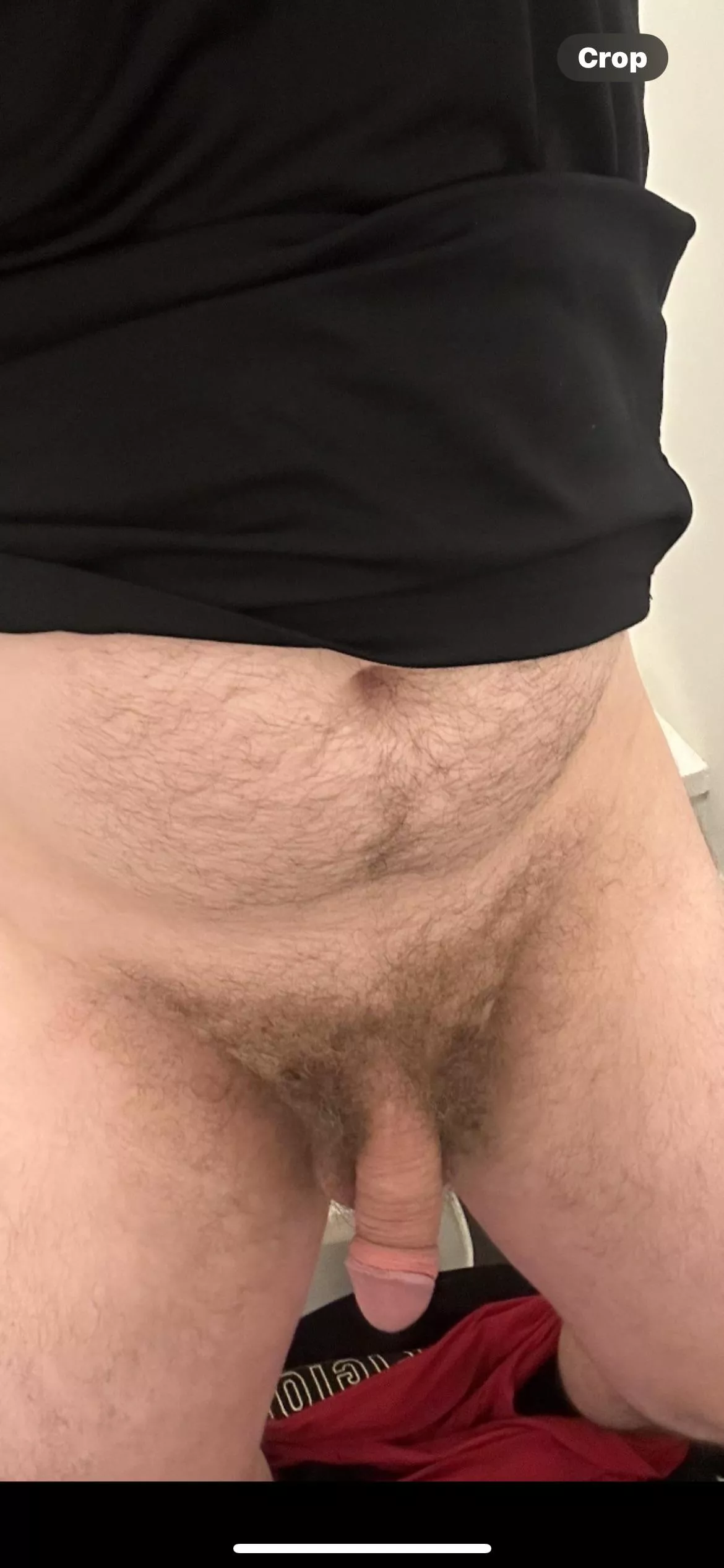 What you think of my little softie posted by Few_Extension_4212