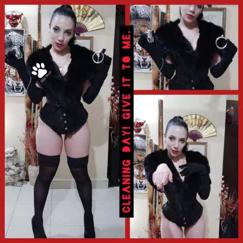 When was the last time you completely and thoroughly washed your cage? Do it today! Cleanliness and hygiene = discipline. by Mrs_MiniBeast