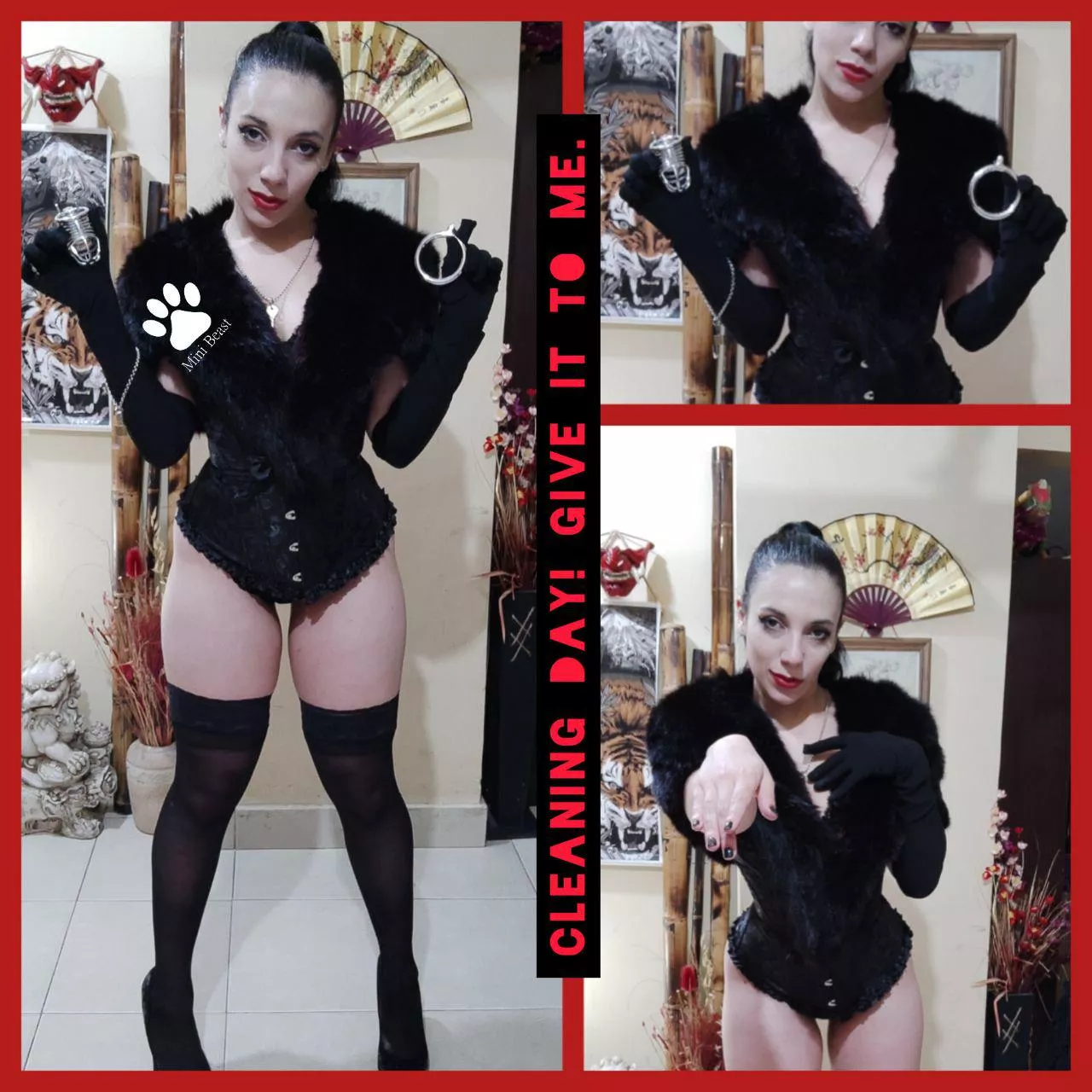 When was the last time you completely and thoroughly washed your cage? Do it today! Cleanliness and hygiene = discipline. posted by Mrs_MiniBeast