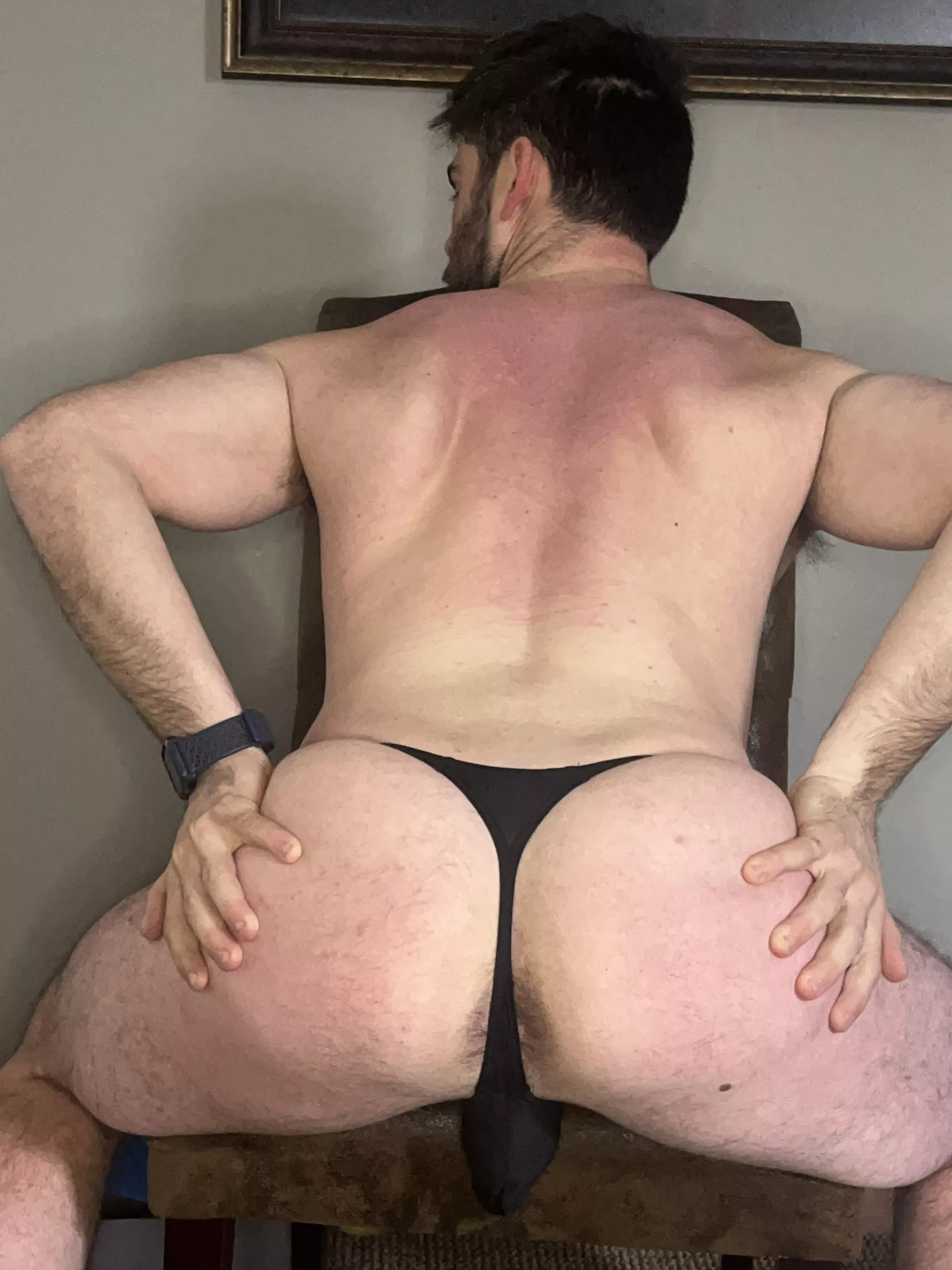 You like my spread? posted by Lopsided-Law734