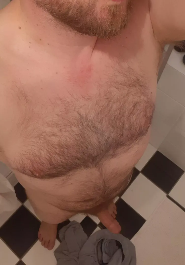 (39) Hairy dad bod by Holla454