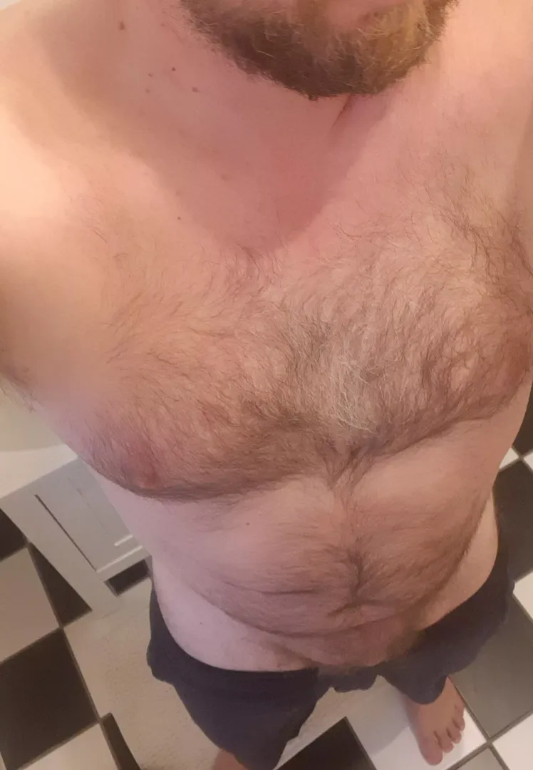 (39) I think im a bear, or? by Holla454