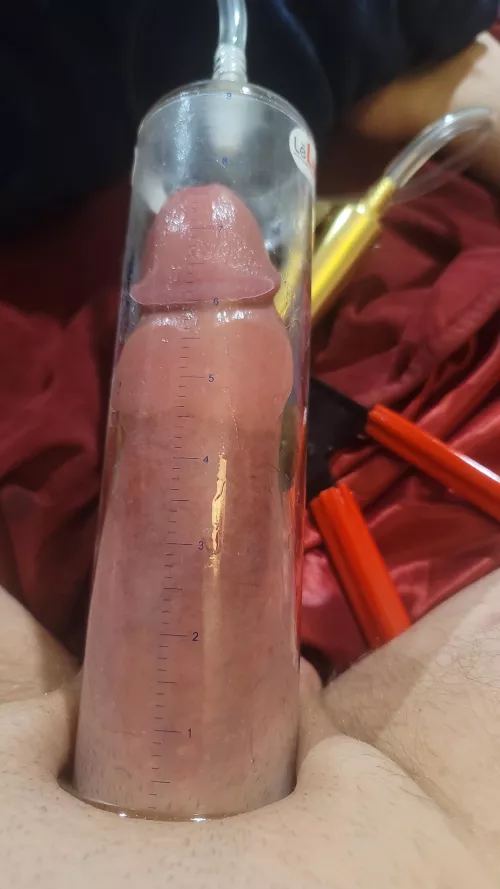 Back in the 2.5 leluv tube  by greenthumb32290