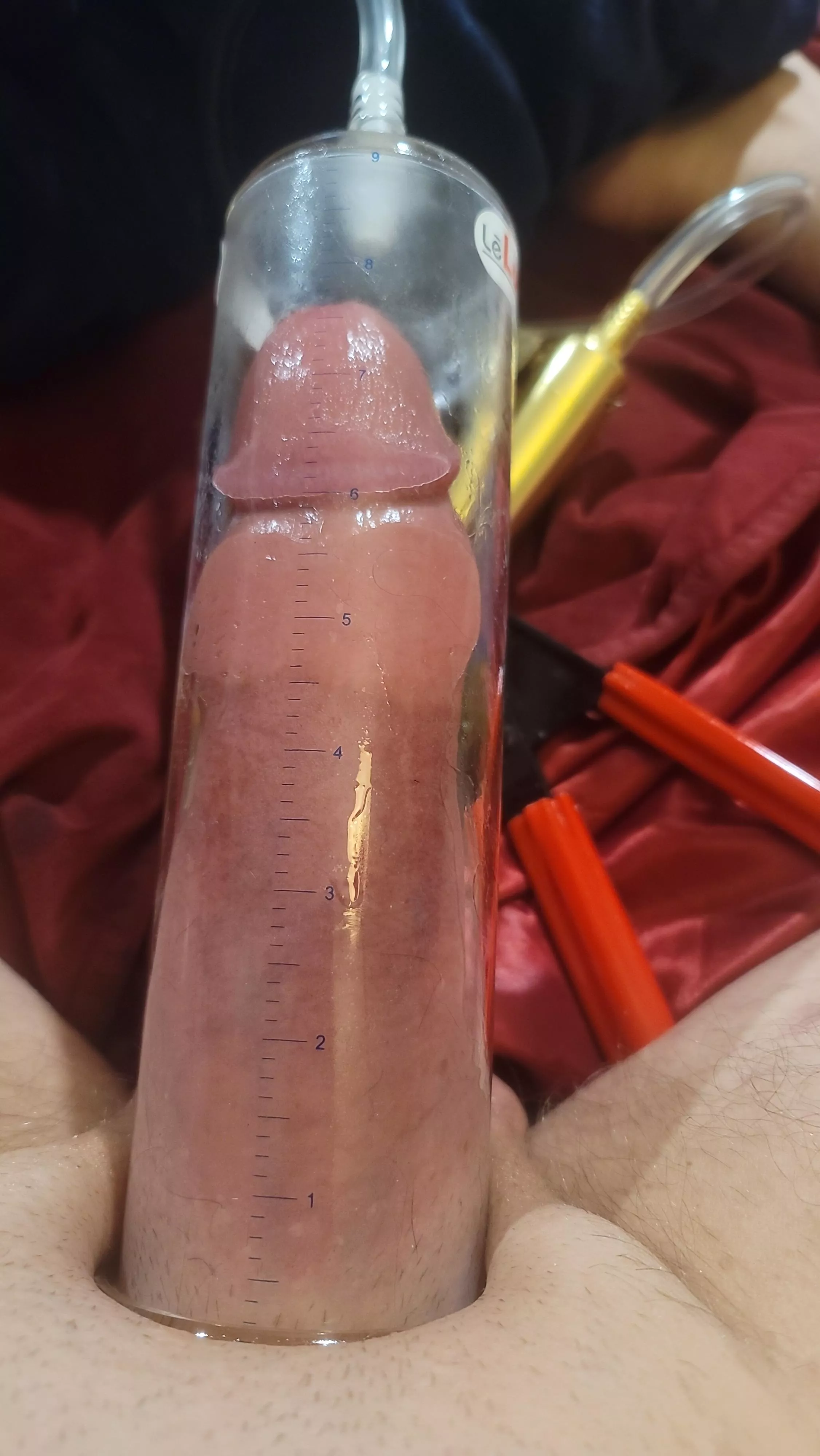 Back in the 2.5 leluv tube  posted by greenthumb32290