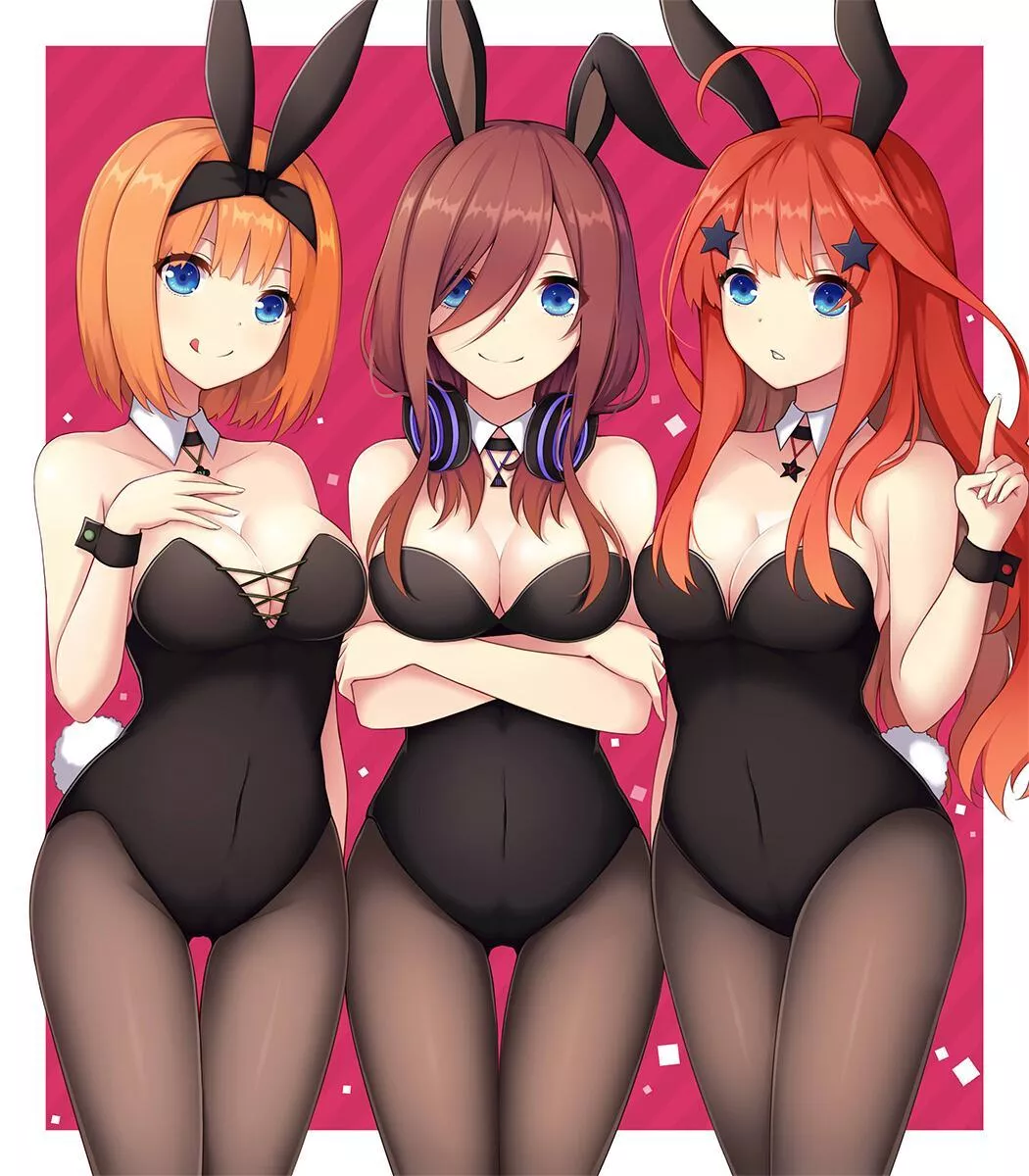 Bunny Quints posted by A_MASSIVE_PERVERT