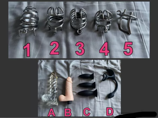 Choose a cage and which toy I should play with by yeahyeahamok