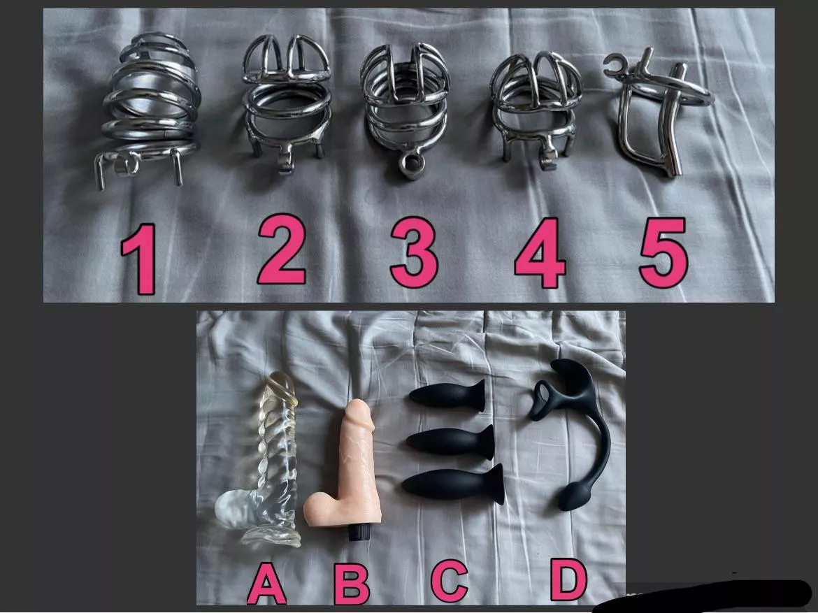 Choose a cage and which toy I should play with posted by yeahyeahamok