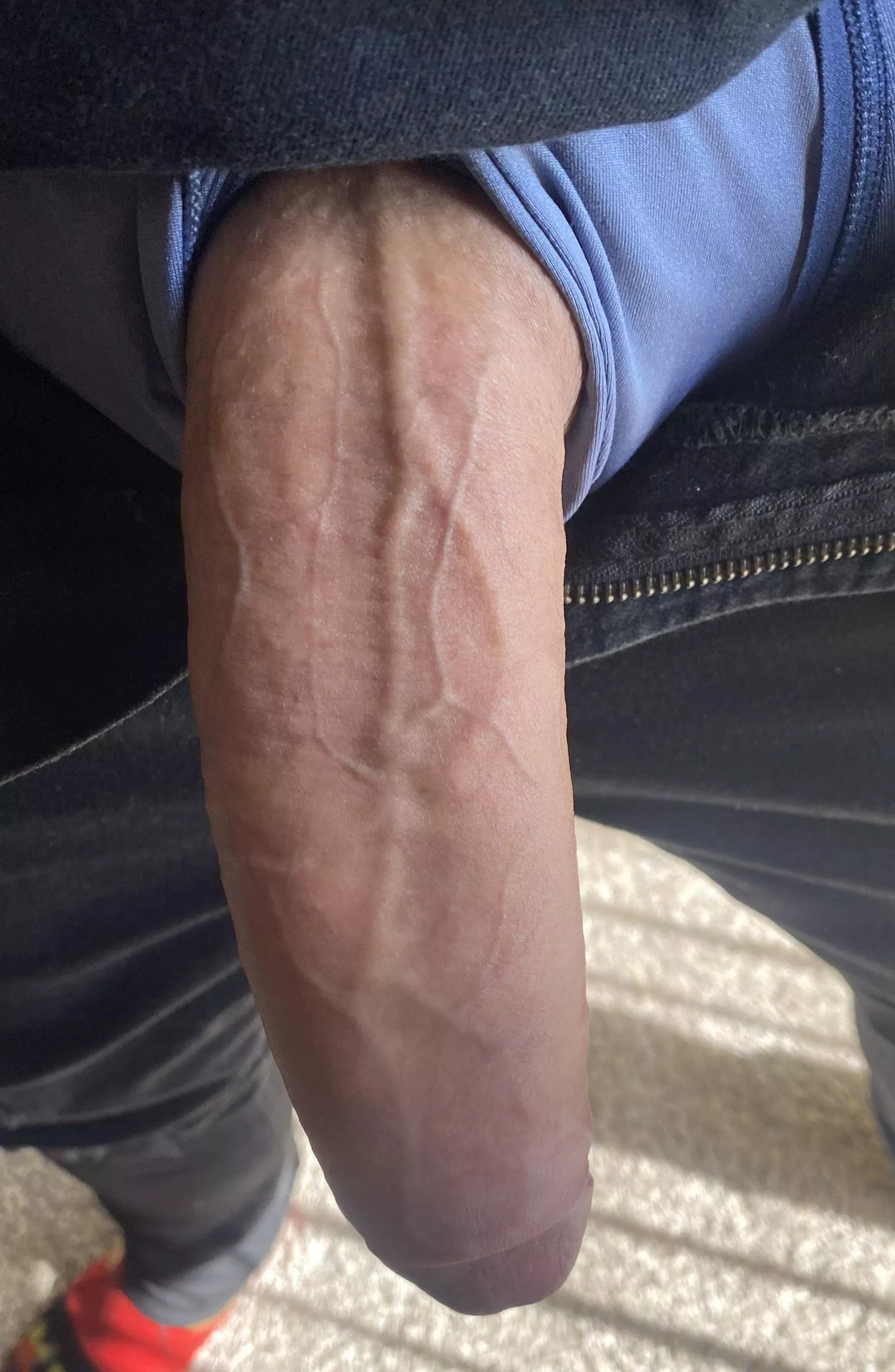 First post…not sure if I belong  posted by Papigrande_215