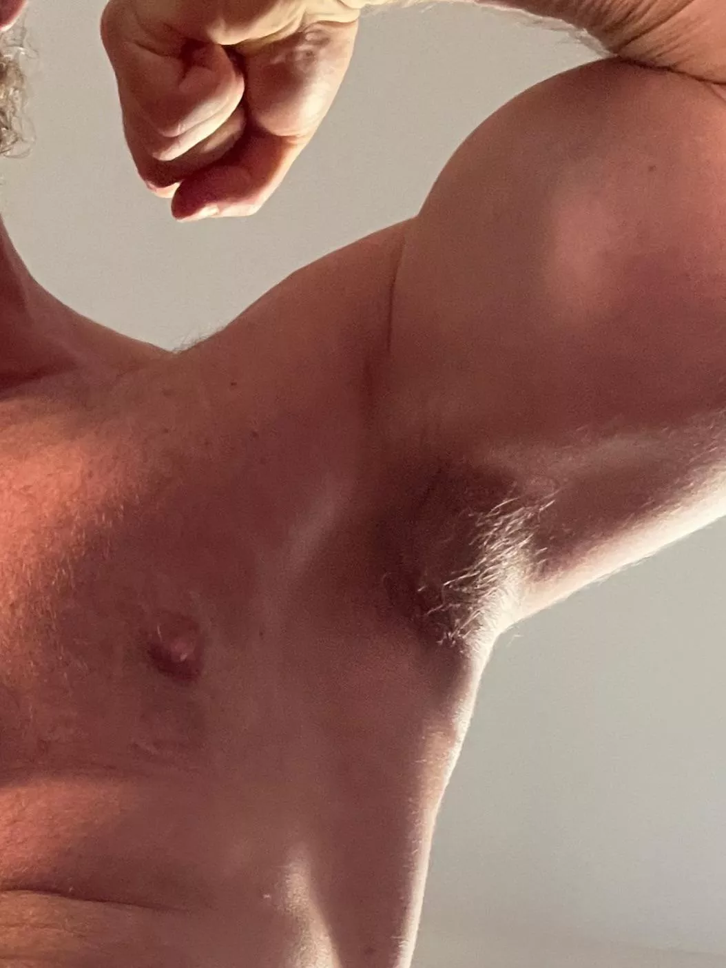 Get under here and inhale my musky scent! posted by Bearded_alpha1