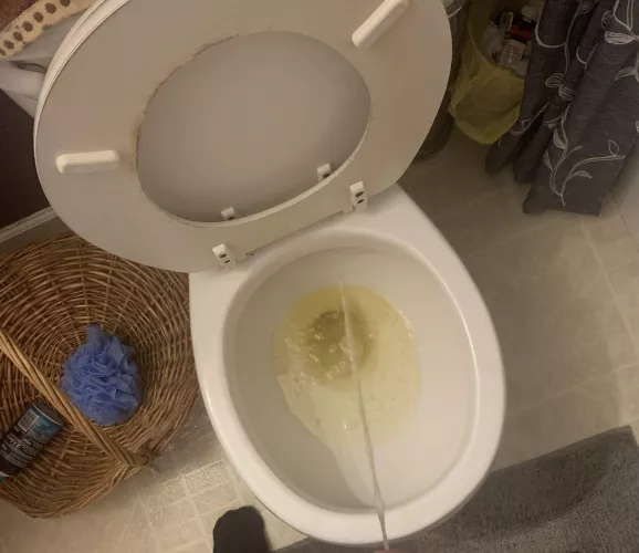 Hmu for piss vids by Final_Honeydew_8046