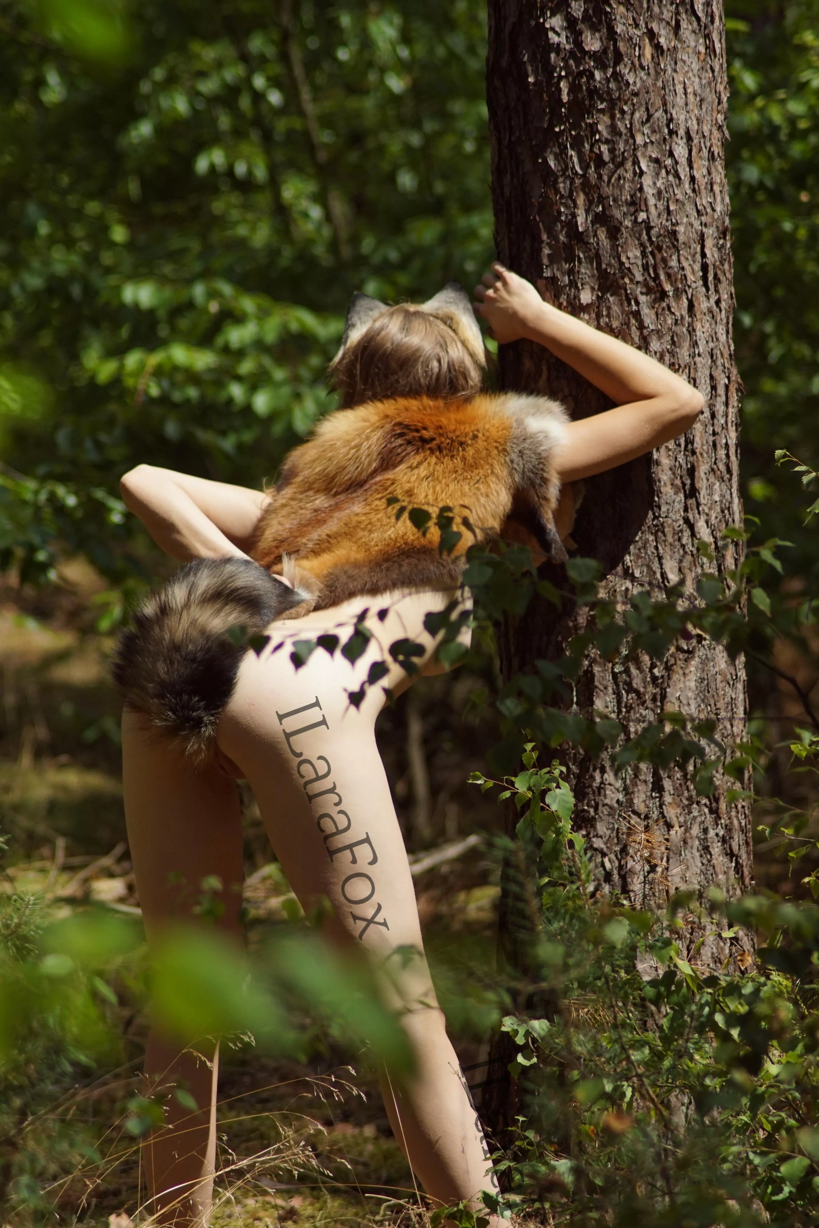 It is important to bring your tail out from time to time ;)  posted by ILaraFox