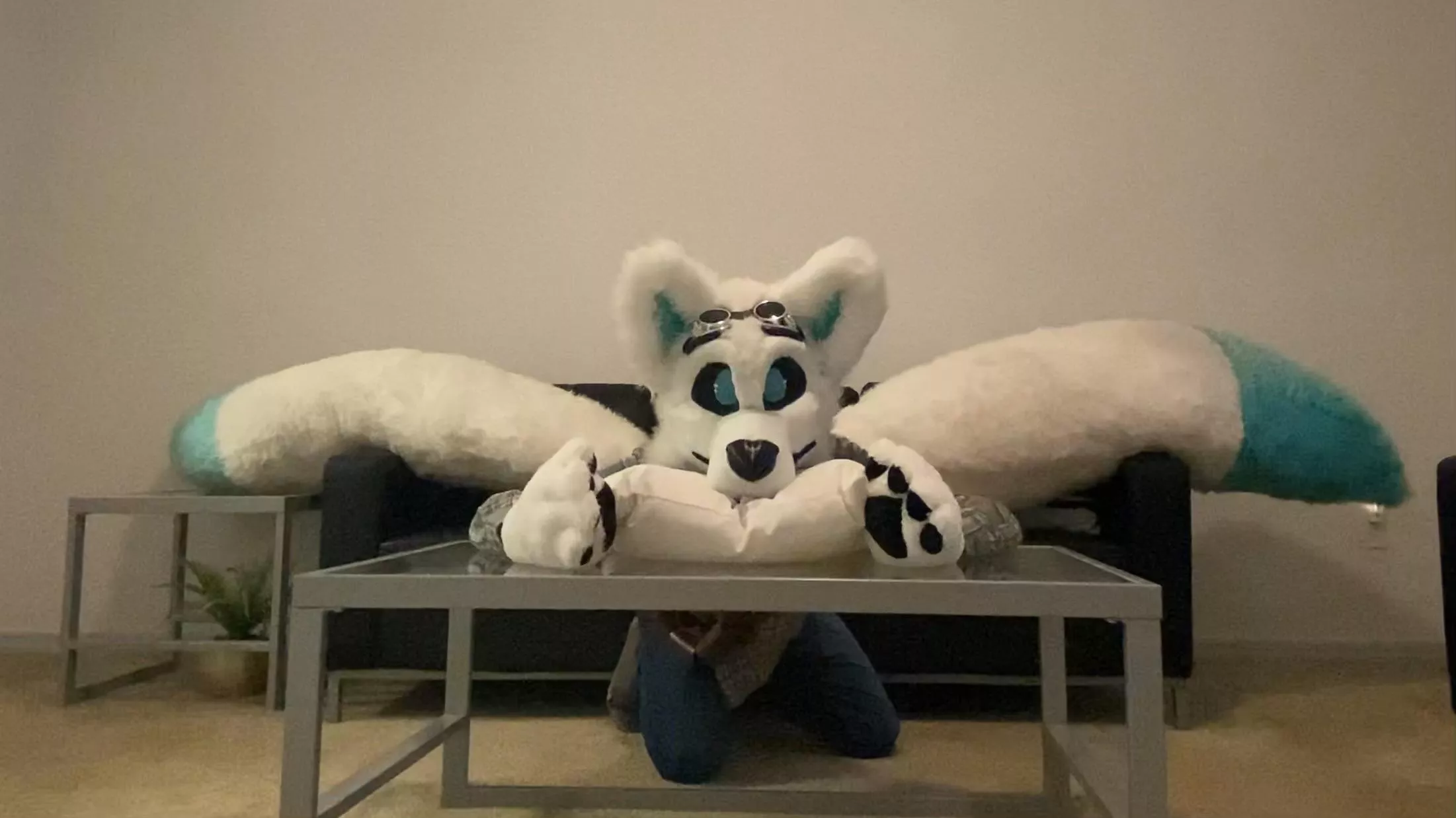 It's My Cake Day! posted by Abs0lutely-N0thing