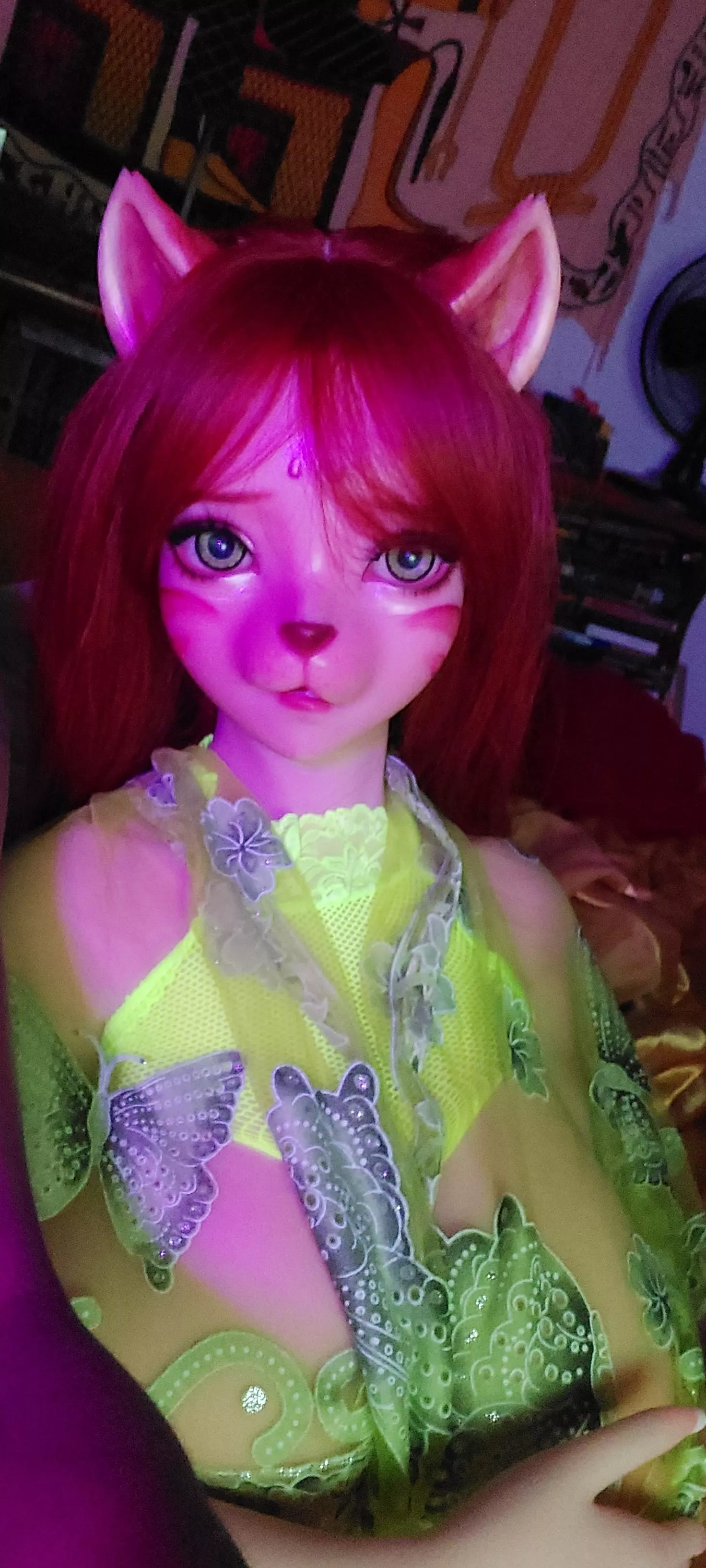 Kitty with the titty posted by Sooner_crafter