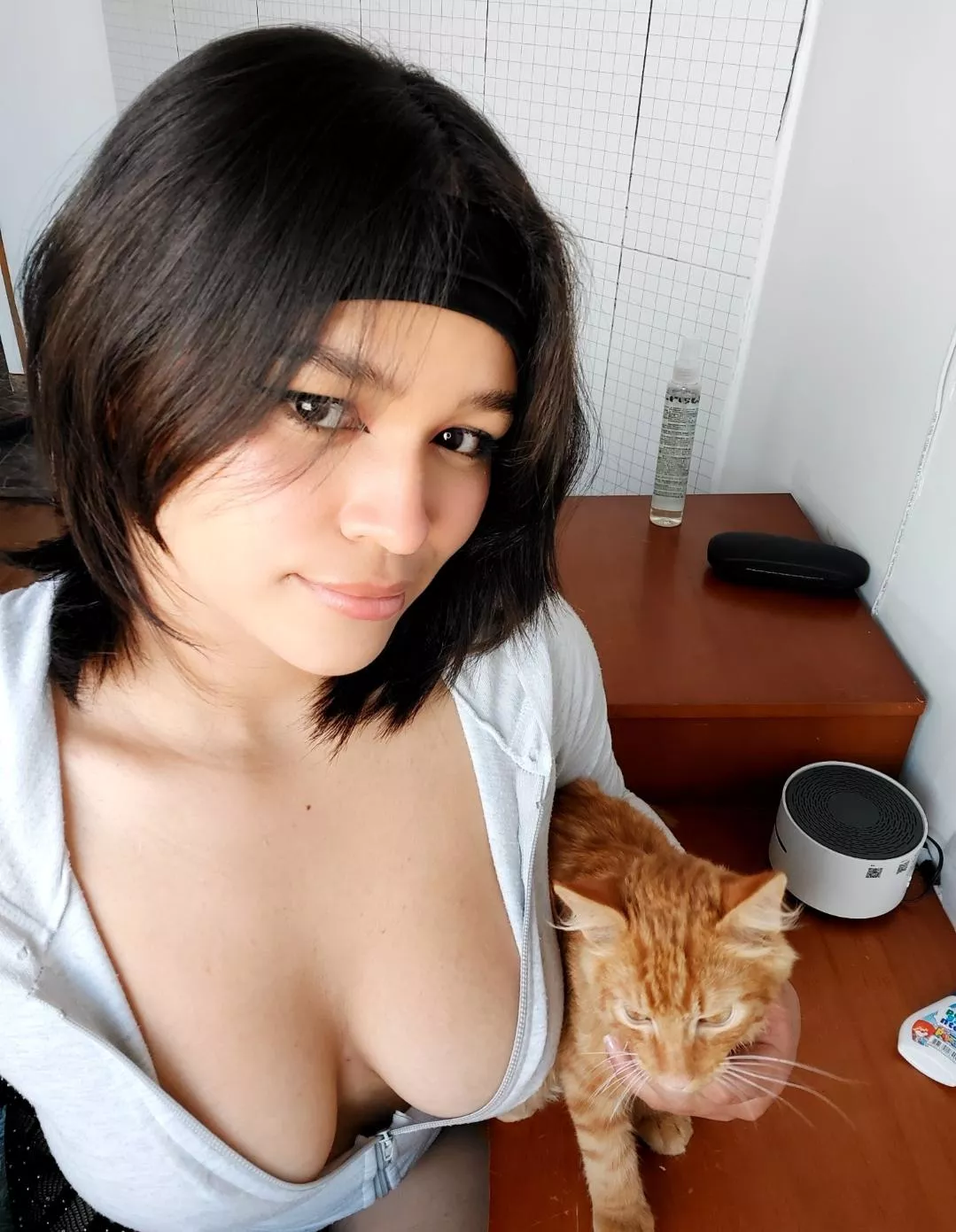 petting my spoiled cat   posted by MeryMagic