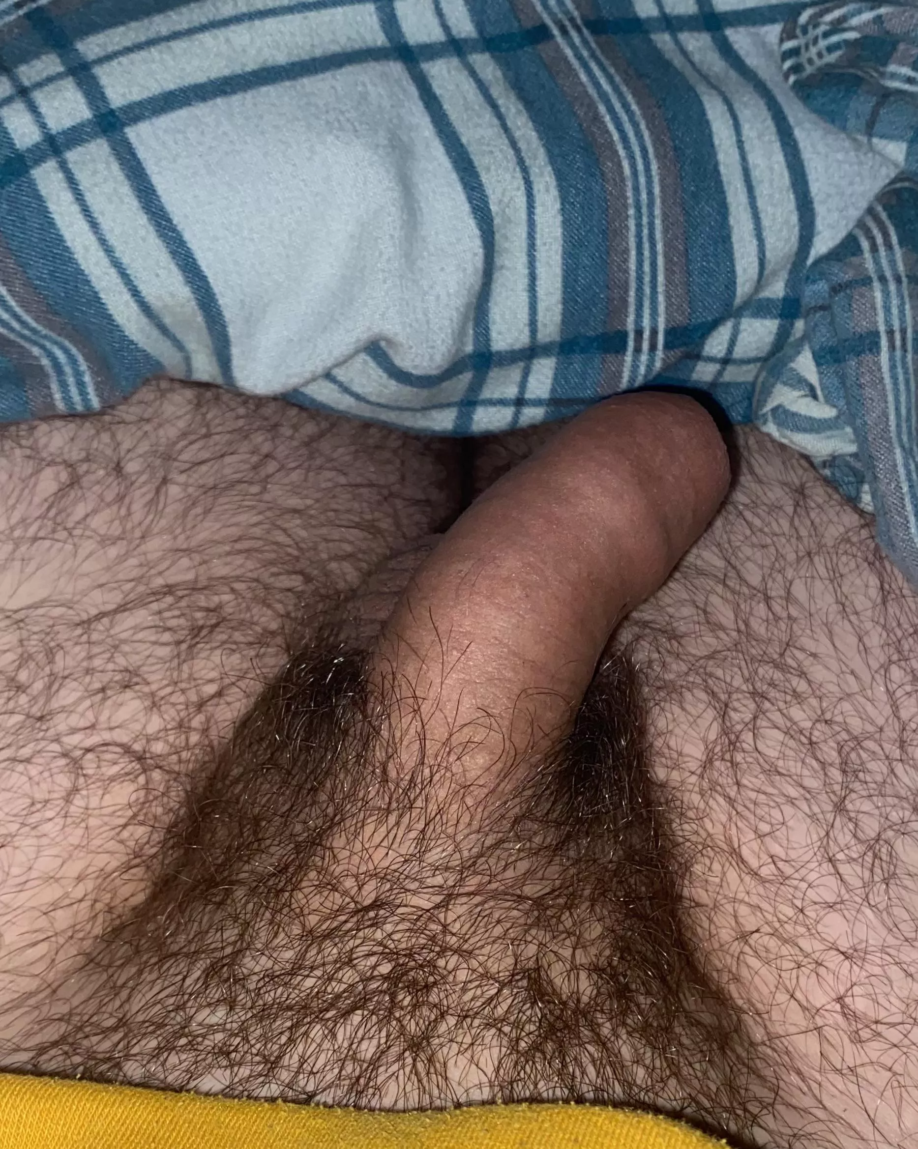 Soft and Hairy 🥹💜 posted by Denishole