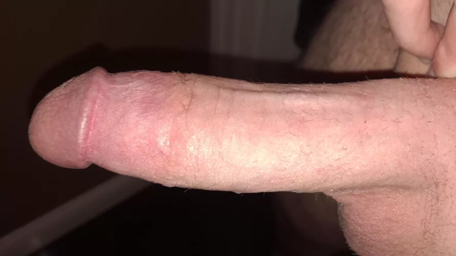 Stfu and stfd bitches~ Dms open by Ok-Enthusiasm9139