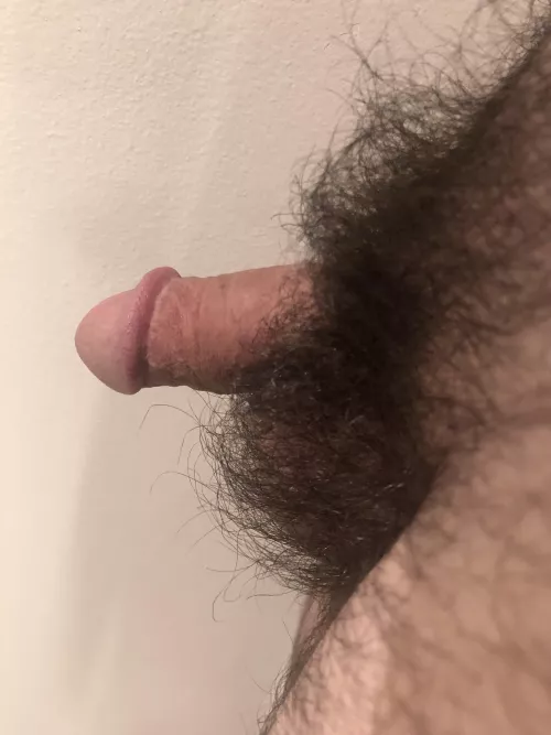 Through the thicket by covizzle20