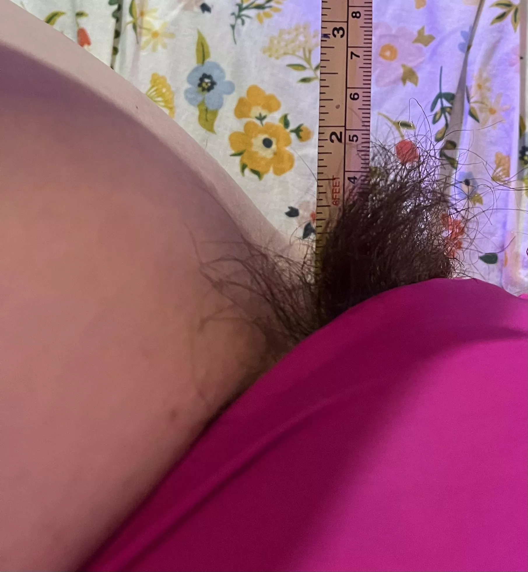 2 inches of bush posted by Lacey_Crow