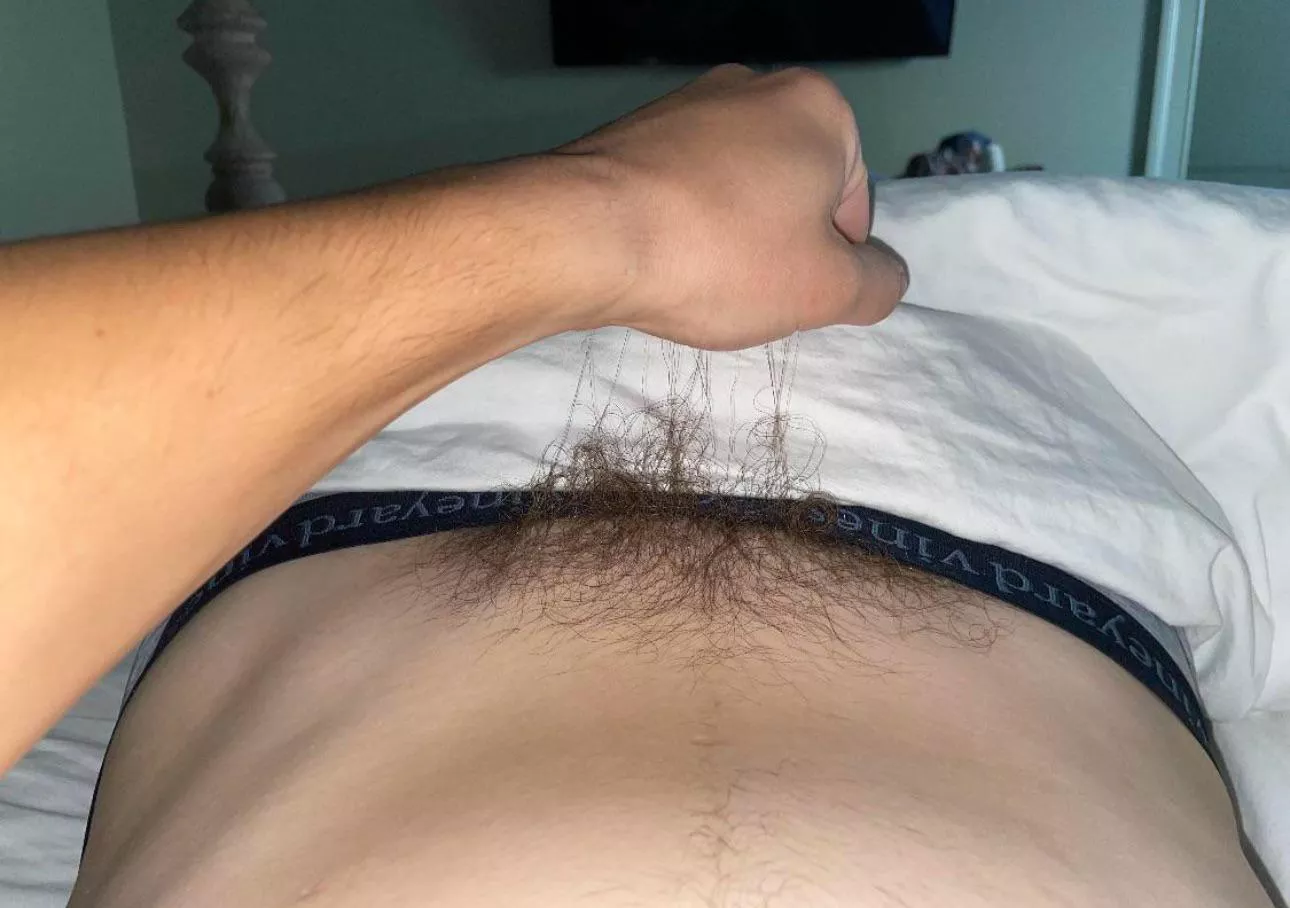 [24] No trimming posted by nickshardcutdick