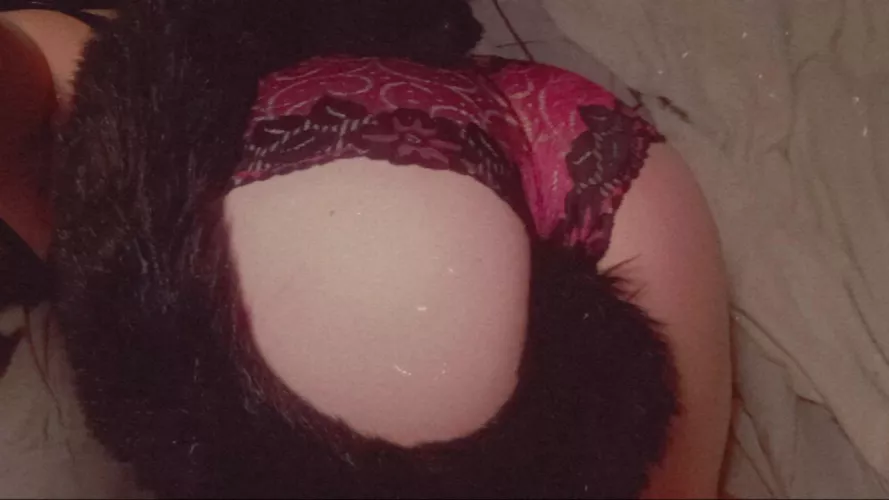 All curled up for a cat nap😽 by t3inkie