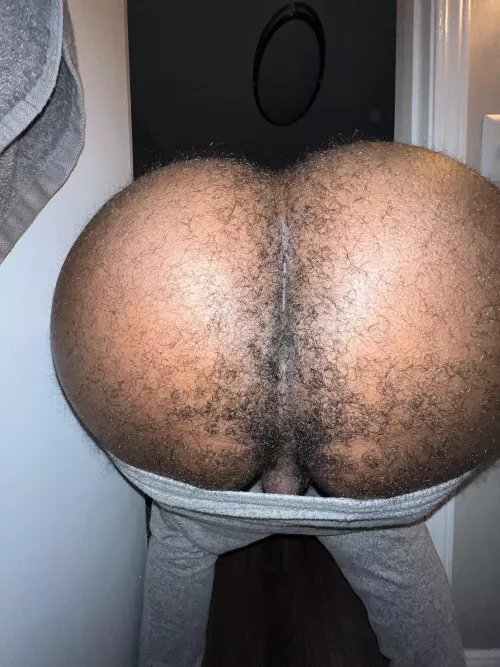 best seat in the house by baldbalm