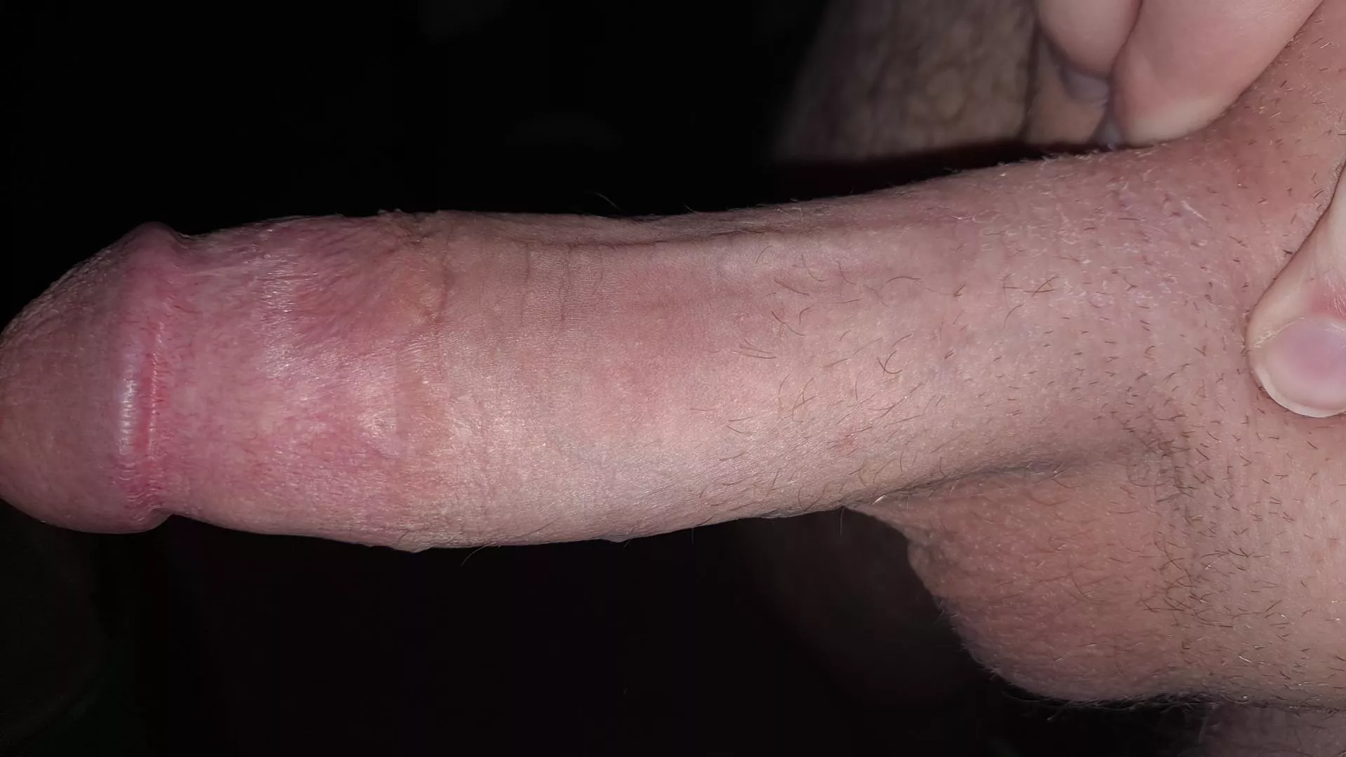 Buckle the fuck up slut~ Dms open posted by Ok-Enthusiasm9139