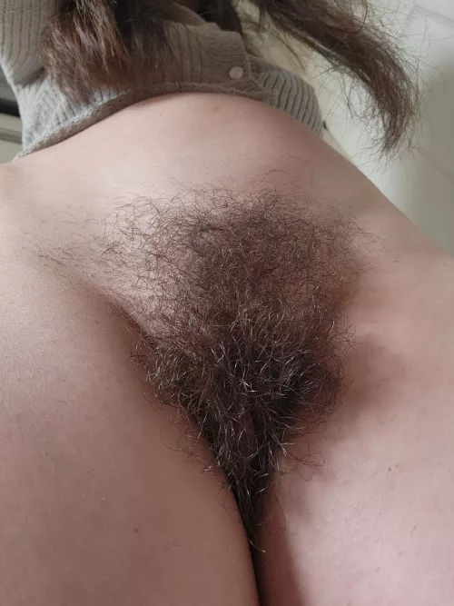 Do you think this would tickle your cock and balls by Massy_Cams