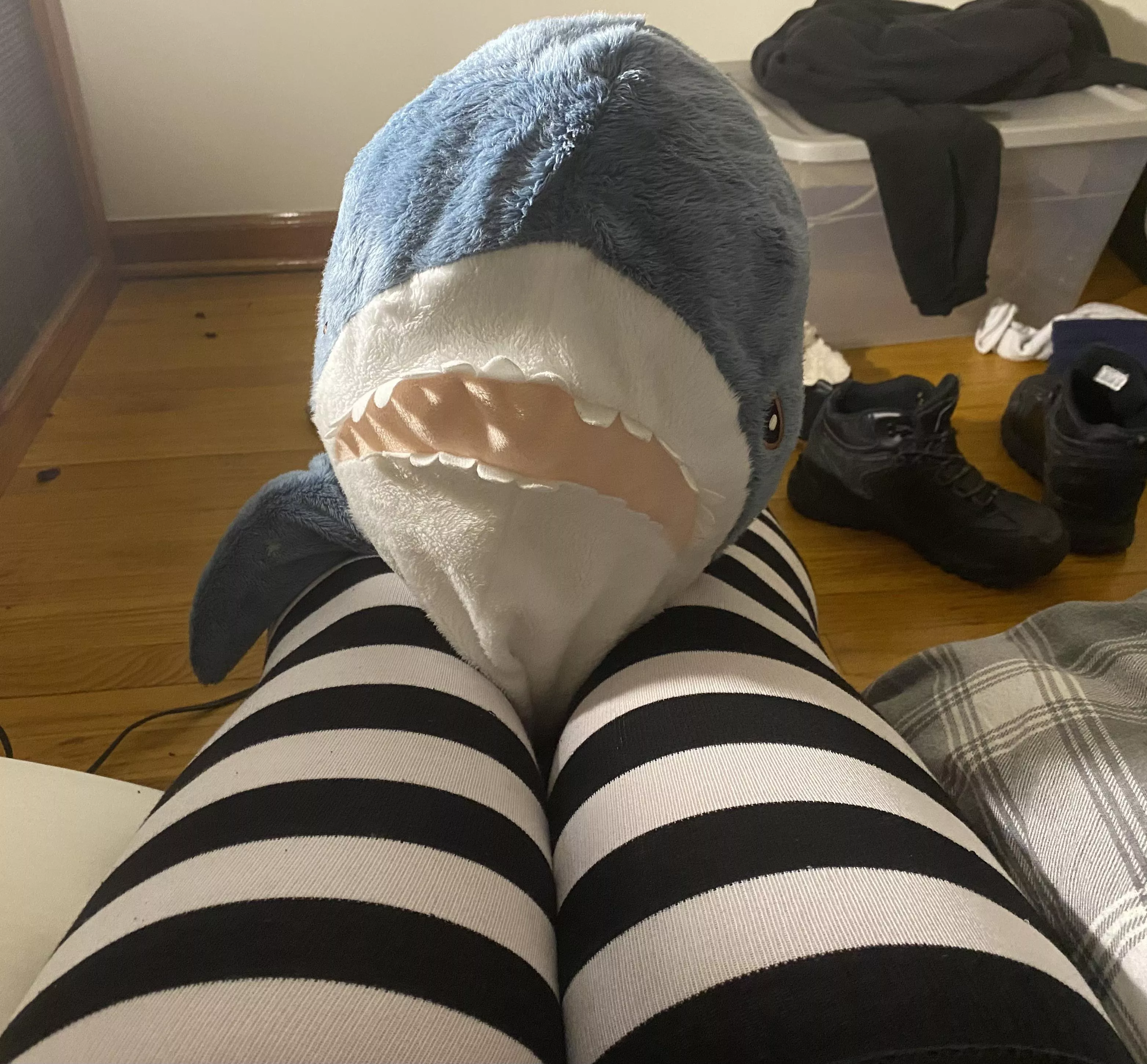 Feeling like a cutie posted by AcrobaticMarketing96