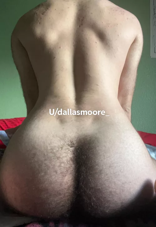 Good boy 21 by Dallasmoore_