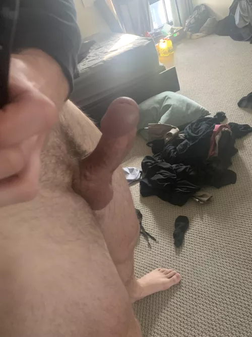 How’s my curious 23 year old cock? by Ok_Reflection_1175
