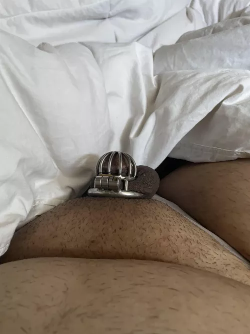 I don’t remember how many days I’ve been locked by Mental_Owl_6906