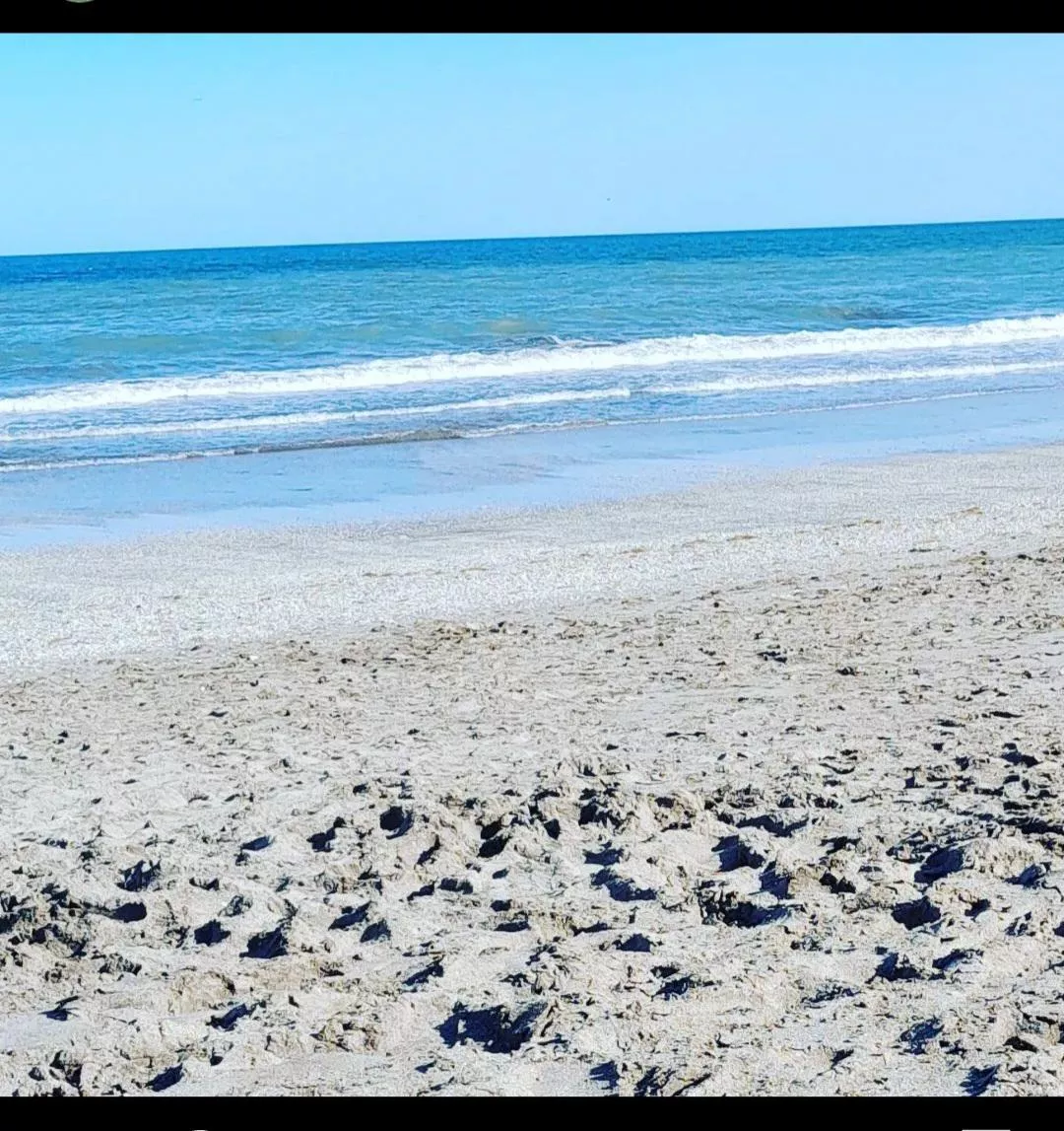 my beautiful beach  posted by Hilary_burguez