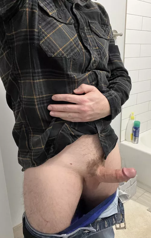 Opinions on average sized ginger by New_Post_7820