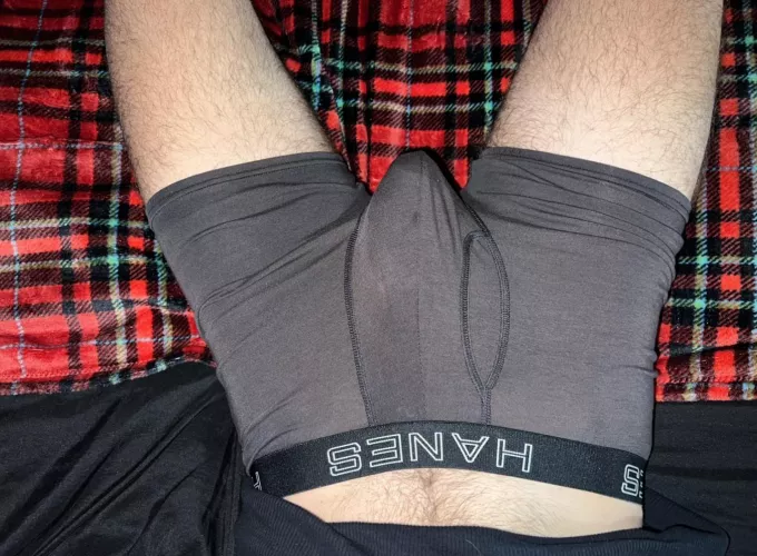 should i take my fat cock out?  by Relative_Package9914