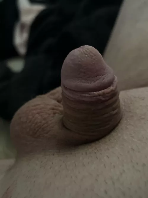 Small sissy waiting for you :) by littlebunnycutie