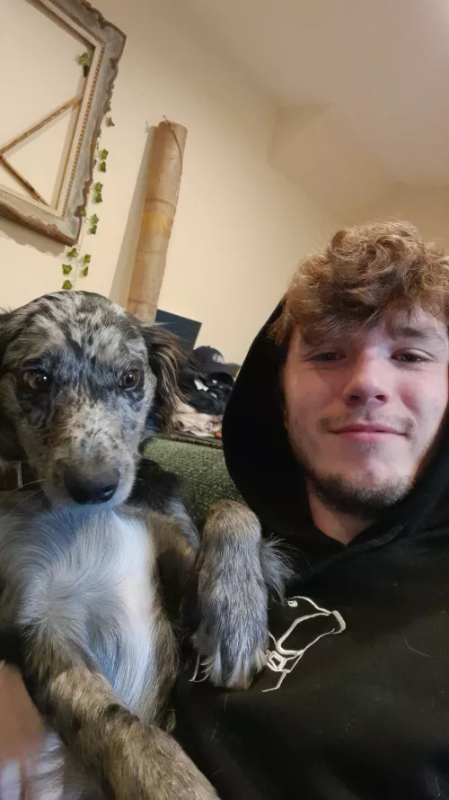 Today's plan: puppy cuddles  by BrbMakingACuppaT