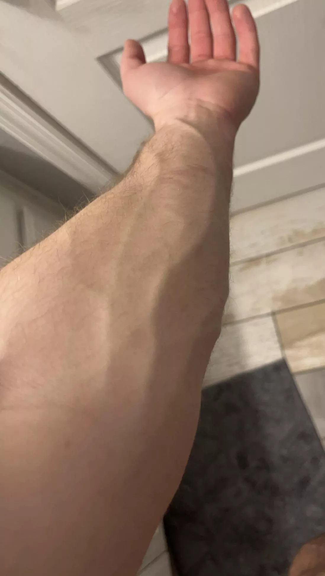 Veiny enough? posted by SeaRepublic9412